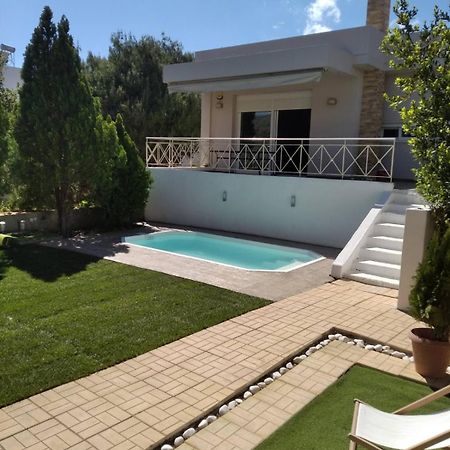 Cozy Villa Vita Lagonisi Kalivia Thorikou Exteriér fotografie