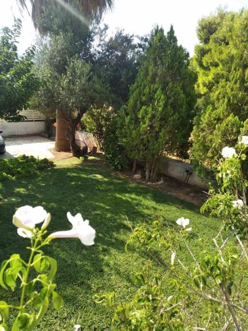 Cozy Villa Vita Lagonisi Kalivia Thorikou Exteriér fotografie