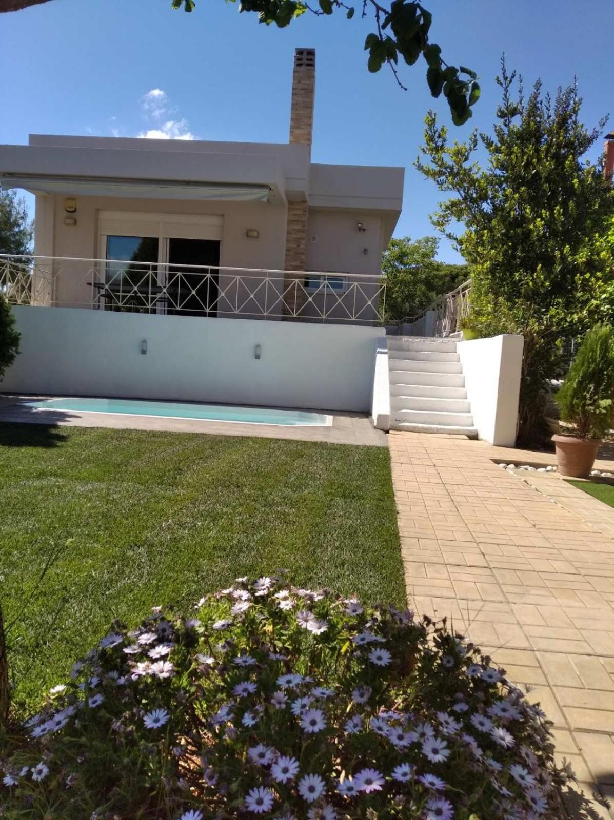 Cozy Villa Vita Lagonisi Kalivia Thorikou Exteriér fotografie